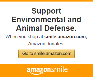 Amazon Smile Environmental And Animal Defense